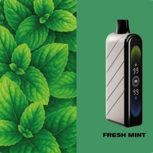 Fummo Nova 50k Fresh Mint