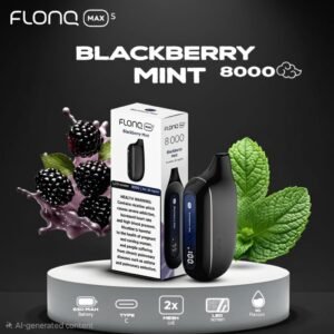 Blackberry Mint Flonq Max 8K Puffs